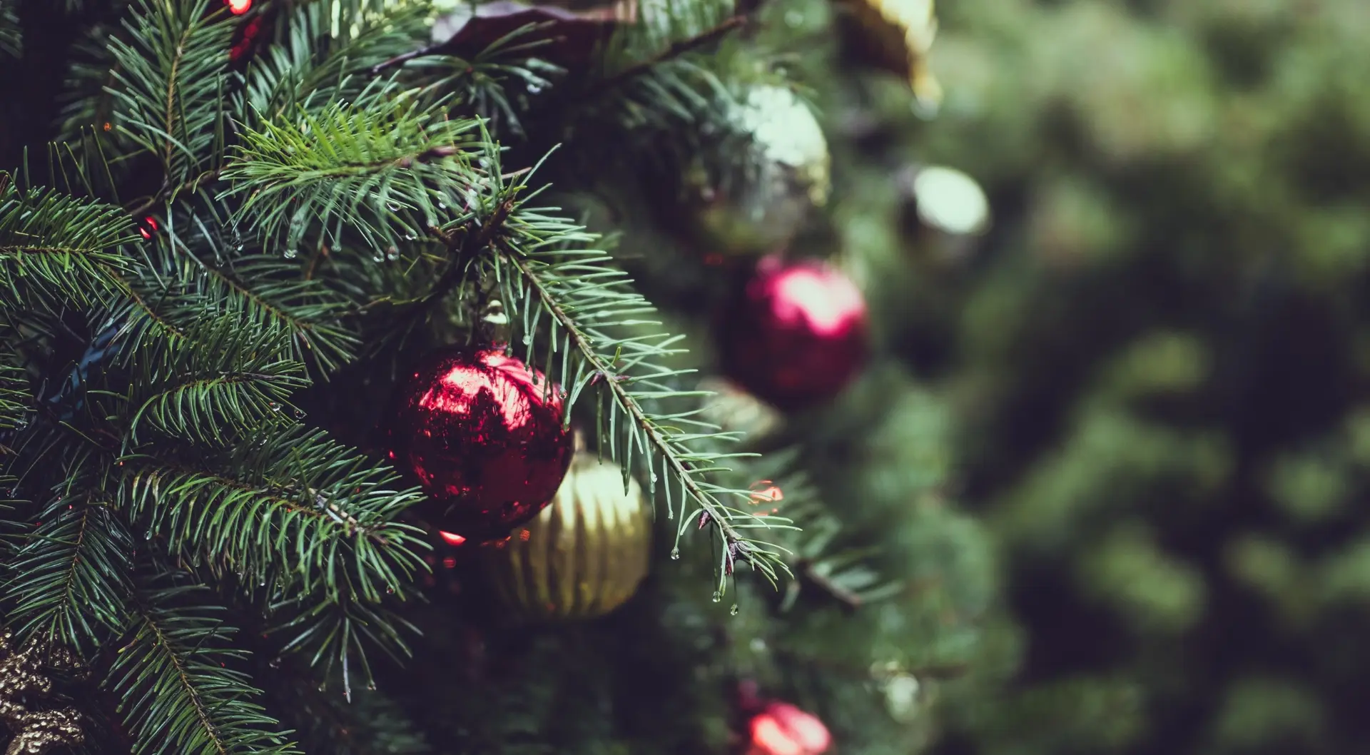 Holiday Decorations